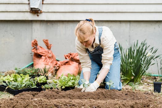 Gesundheit und Wohlbefinden, also Healthness, ist wie eine Pflanze Gärtnerin des Lebens