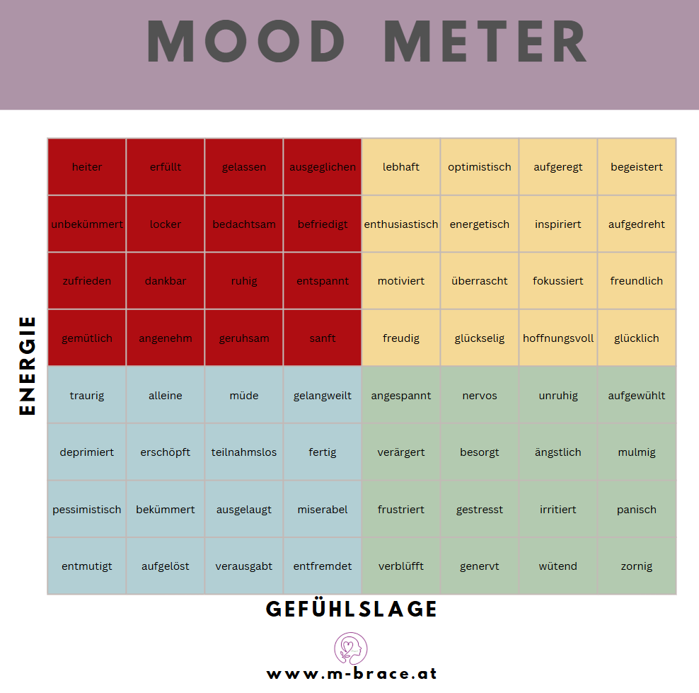 Mood Meter RULER mbrace Mood Meter zur Anwendung der RULER-Methode 360° HEALTHNESS