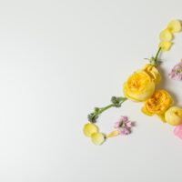 hysterectomy, healthcare, uterus removal, women health, flower background, medical, health, beautiful flowers, flowers, flower wallpaper, nature, uterus